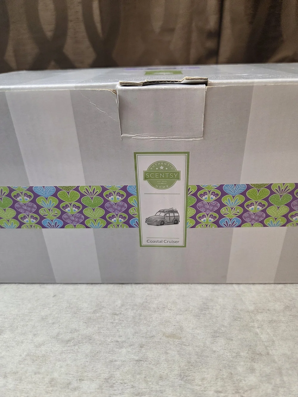 Scentsy Coastal Cruiser Box with Green and Purple Wax Melt Warmer